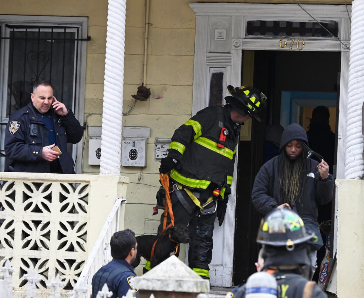 FDNY rescues pit bull puppies from Brooklyn garage fire 7 FDNY rescues pit bull puppies