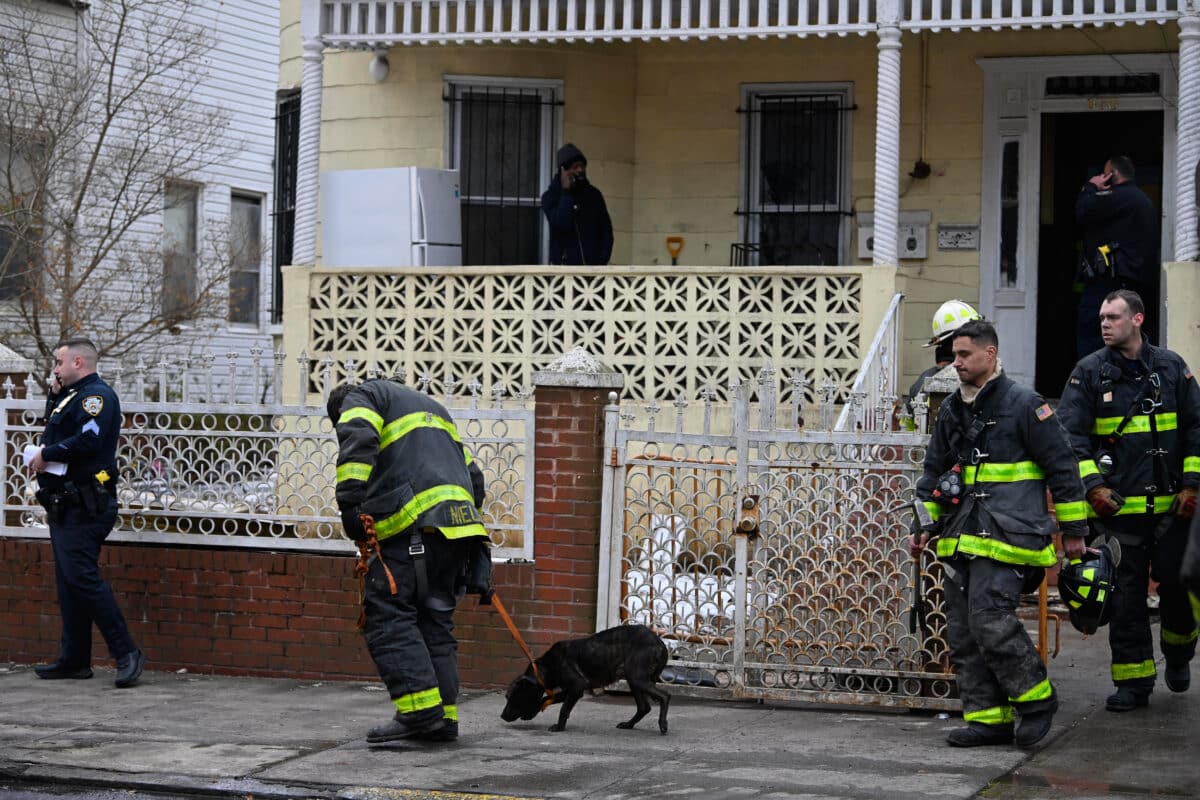 FDNY rescues pit bull puppies