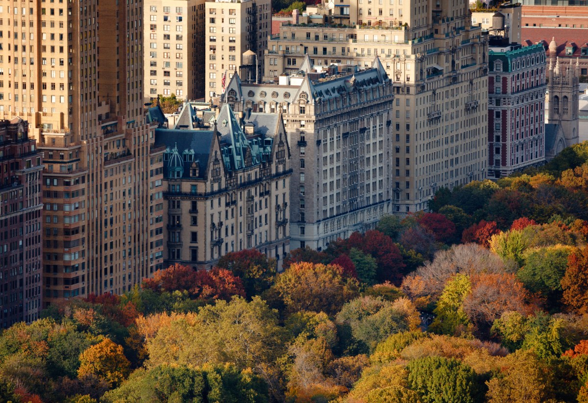 apartment buildings facing central park