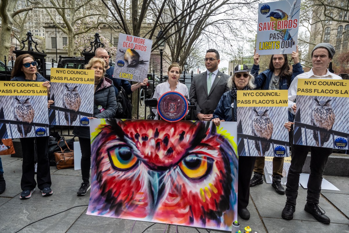 people at a rally outside during the day advocating for Flaco's Law