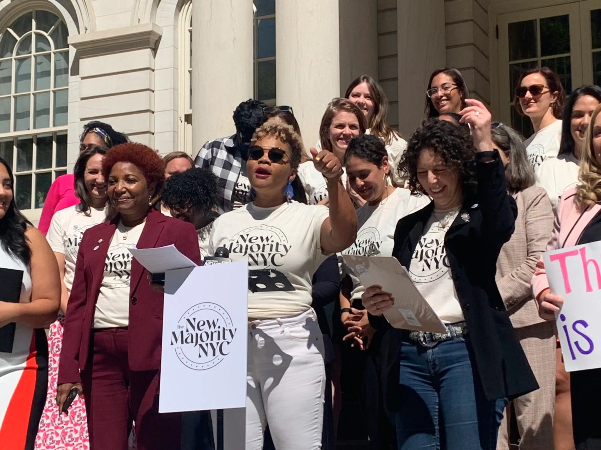 amNewYork Metro at 20: How much has the NY City Council evolved over the past two decades? 7