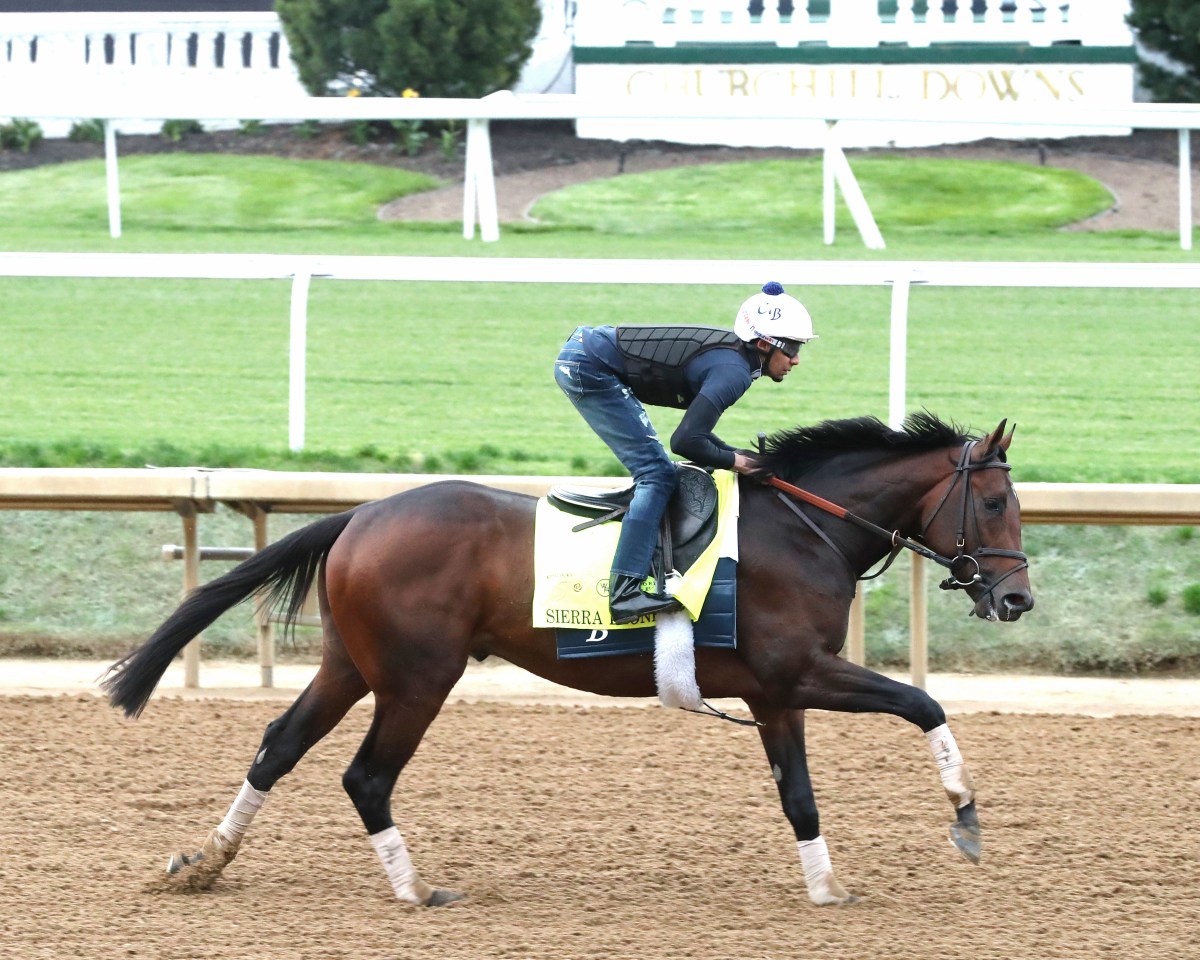 Sierra Leone training for Kentucky Derby on Churchill Downs track