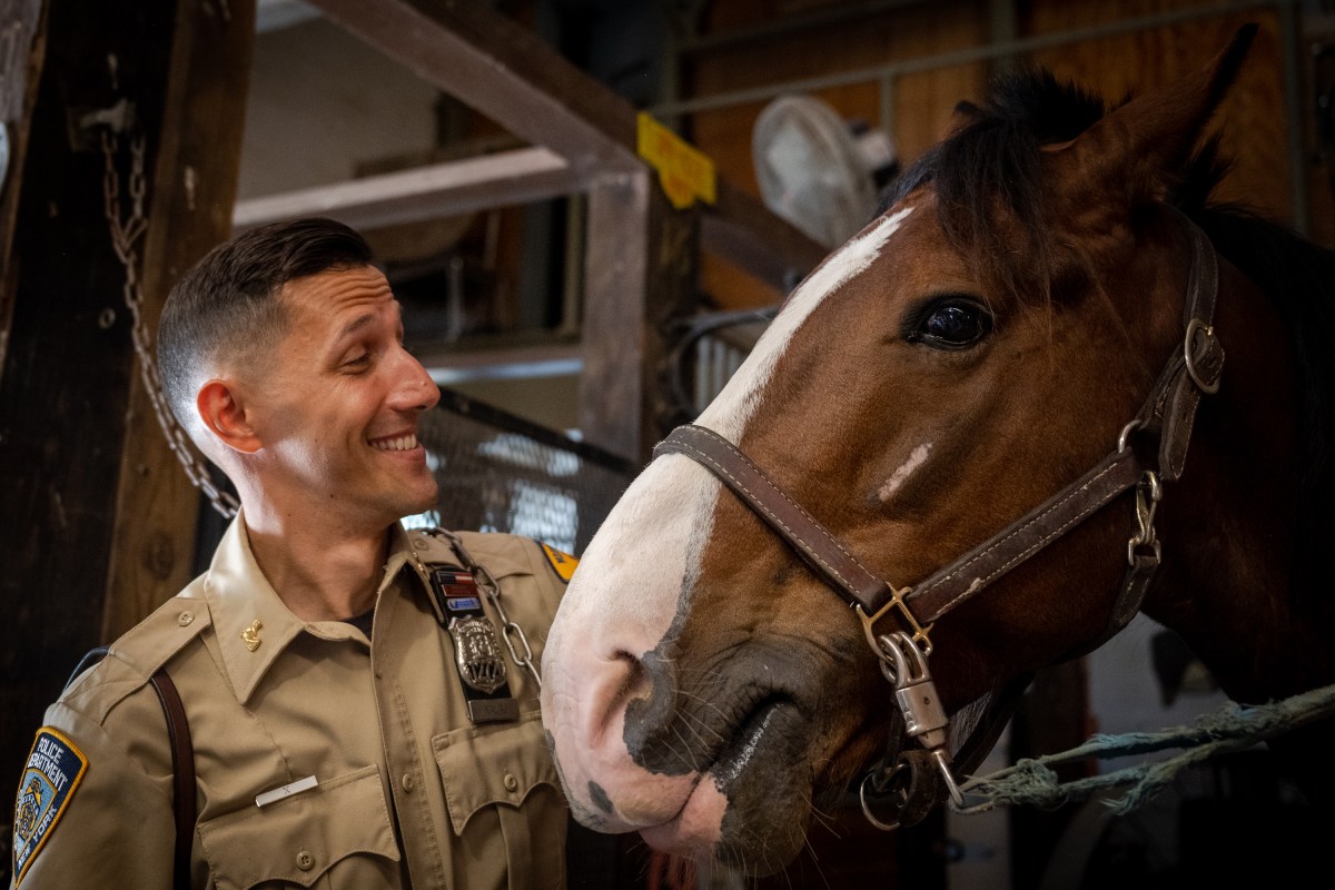 ‘Ten Foot Cops’: A behind-the-scenes look of the NYPD’s most popular unit 15 Mounted officer Kalaj with Buddy, a new horse in training.