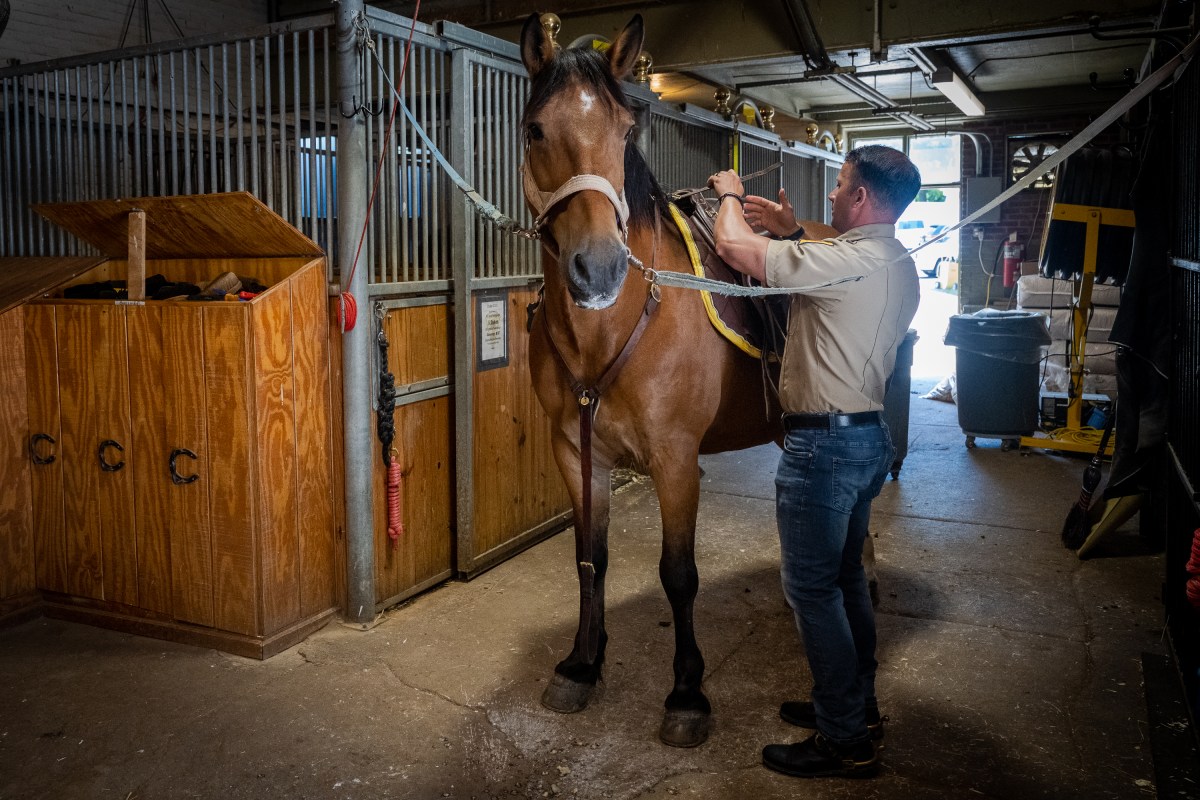 ‘Ten Foot Cops’: A behind-the-scenes look of the NYPD’s most popular unit 12