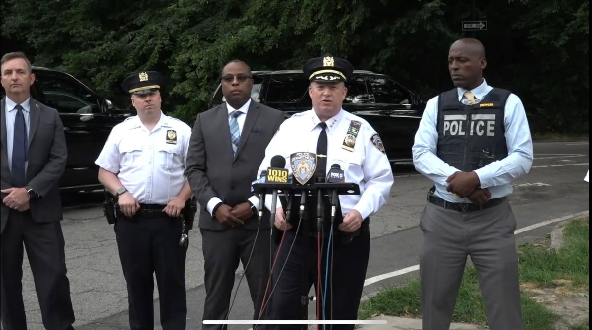 NYPD officials address Central Park sex assault case