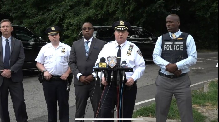 NYPD officials address Central Park sex assault case