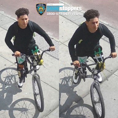 Queens park rapist suspect