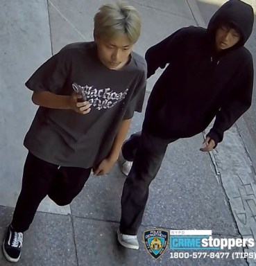 Lower East Side suspects behind bat attack