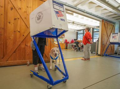 Primary voter with dog