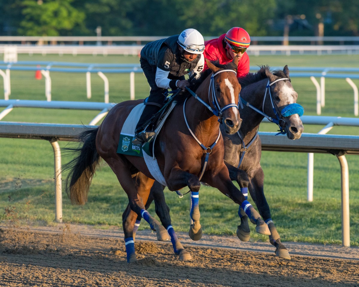 Belmont Stakes 2024 betting odds and predictions: Mystik Dan and Seize the Grey face off against tough field in Saratoga 5 Mystik Dan training for Belmont Stakes