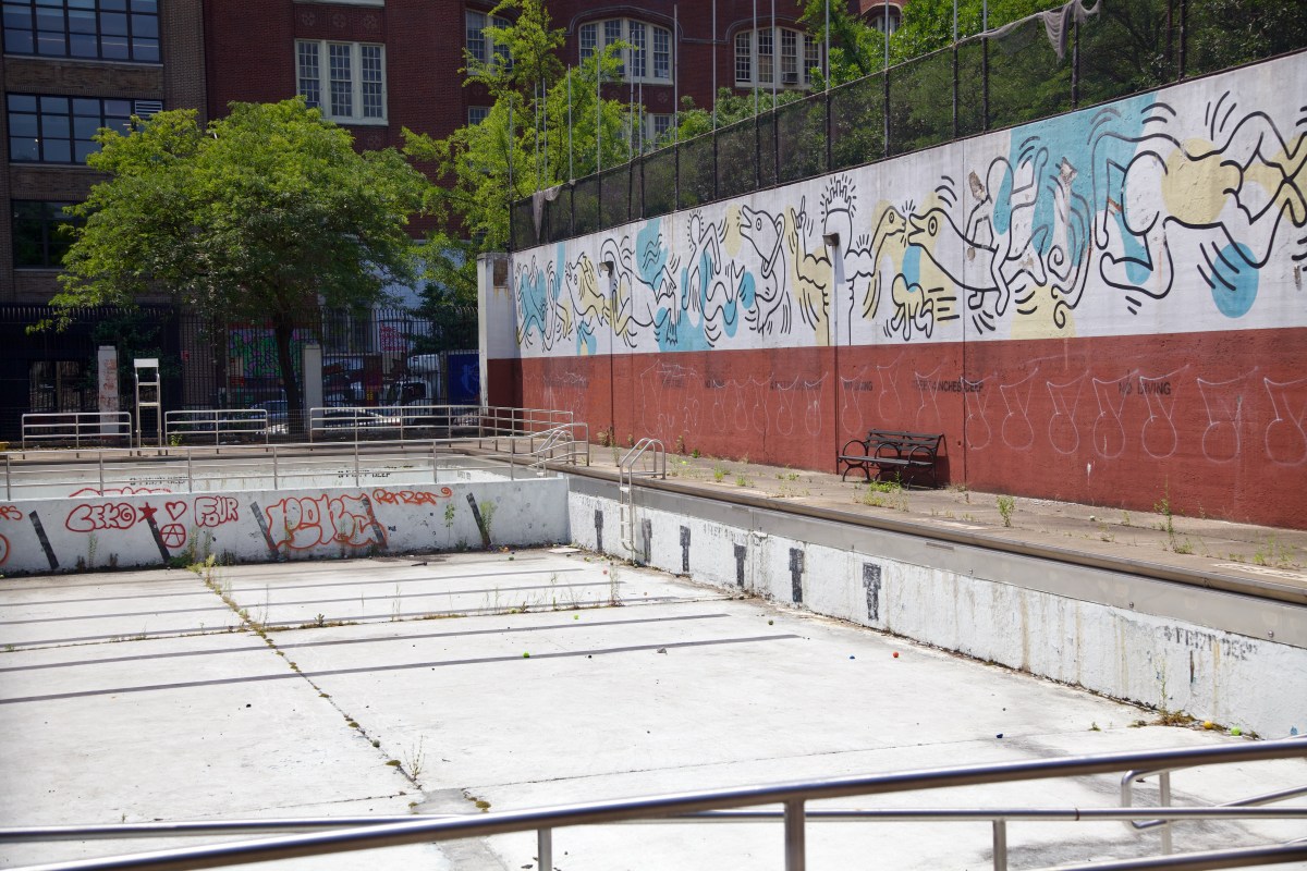 Weeds in closed Greenwich Village pool