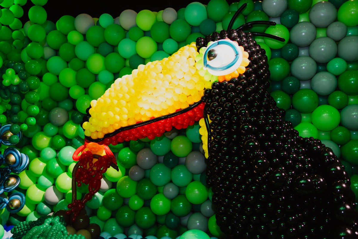 A balloon toucan