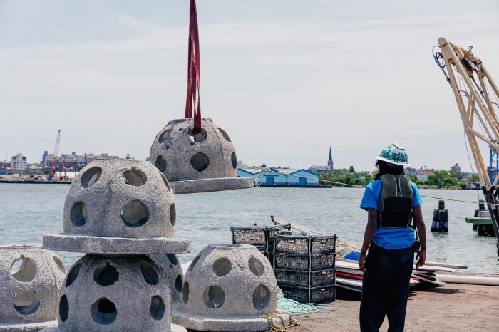EXCLUSIVE | Massive new oyster reef in Brooklyn is a 'shore' thing to help clean Jamaica Bay waters 3 oyster reef in NYC being installed into local waters, showing concrete balls