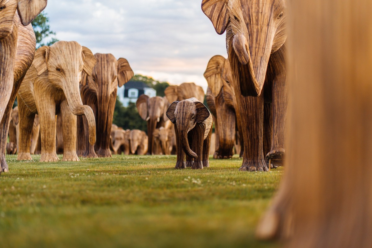 a herd of elephant sculptures with a close look at a baby elephant scultpure