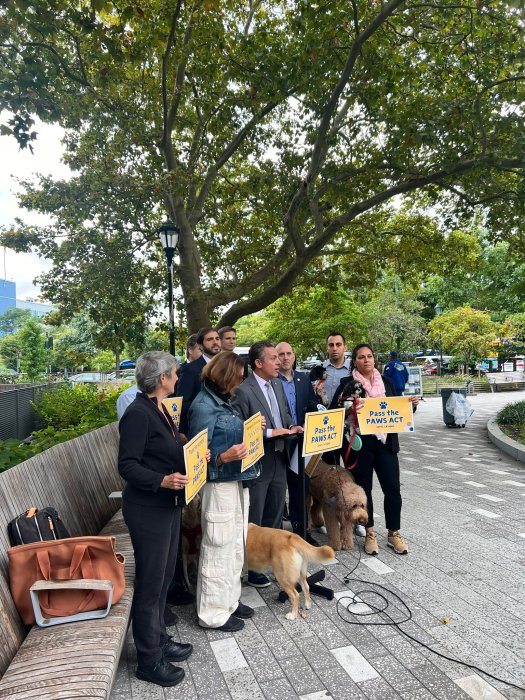 New bill would increase fines for drivers who hit pets, service animals in New York 2 people and dogs in a park to announce a bill about pets and service animals in New York