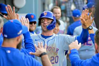 Oct 14, 2024; Los Angeles, California, USA; New York Mets first baseman Pete Alonso (20) celebrates in the dugout after scoring in the ninth inning against the Los Angeles Dodgers during game two of the NLCS for the 2024 MLB Playoffs at Dodger Stadium.