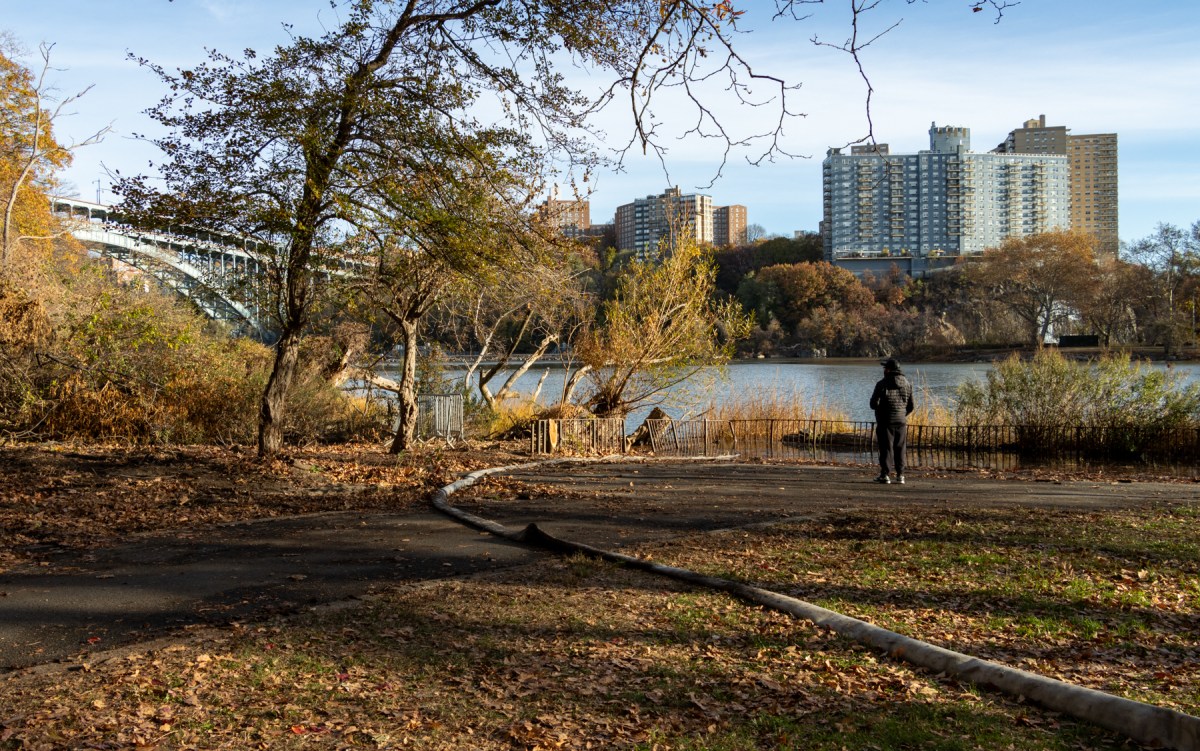 FDNY contains Inwood Hill Park wildfire after battling intense flames, treacherous terrain 2 Inwood Hill Park on Nov. 14, 2024, the day after a three-alarm fire damaged four acres of the upper Manhattan greenspace.