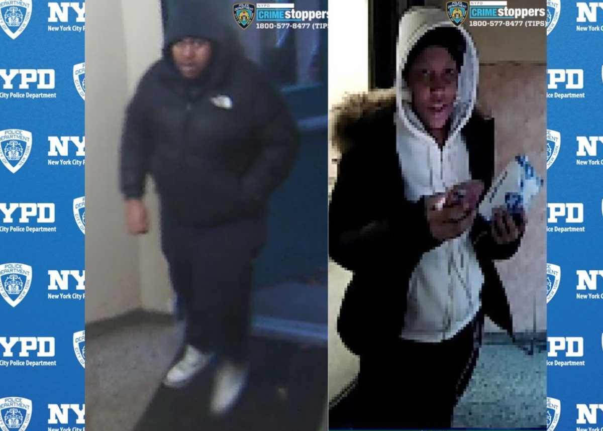 Bronx home invaders