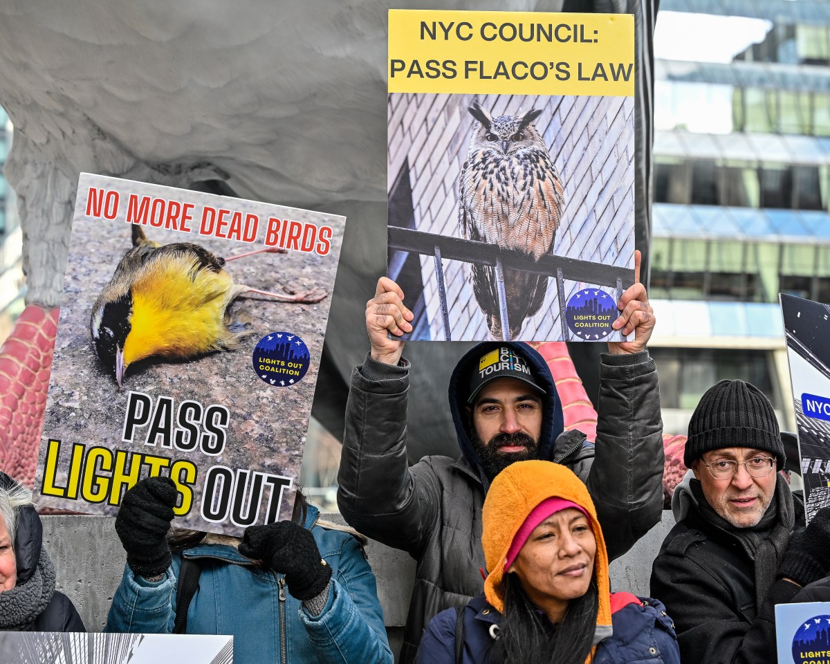While celebrating National Bird Day, animal rights activists urged the New York City Council to pass the remaining two bills of Flaco's Law. (Photo by Gabriele Holtermann)