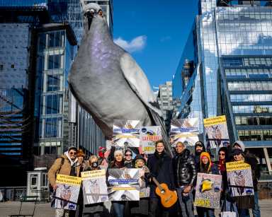 While celebrating National Bird Day, animal rights activists urged the New York City Council to pass the remaining two bills of Flaco's Law.