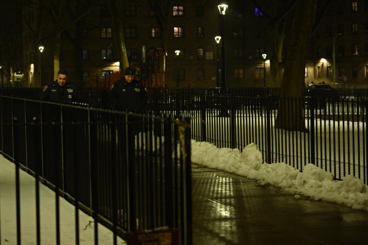 Brooklyn man shot dead at public housing complex, suspect on run: cops 3 Police investigate Brooklyn scene where man was shot dead