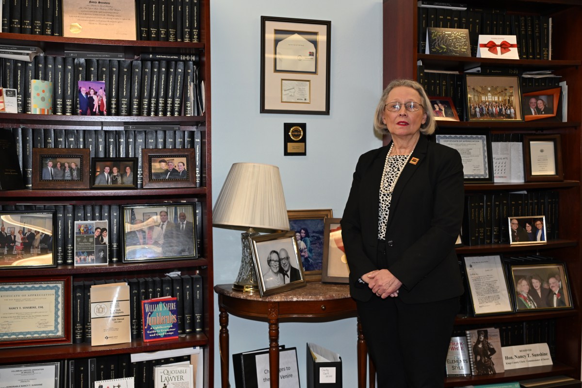 For Nancy Sunshine, the role of Kings County Clerk is personal 2 Kings County Clerk Nancy Sunshine