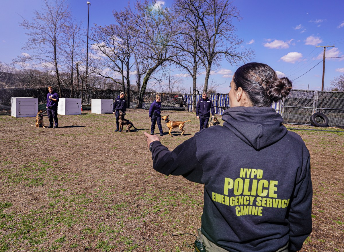 Women's History Month: Meet Christina Orlando, the NYPD's first ESU female K9 trainer 2