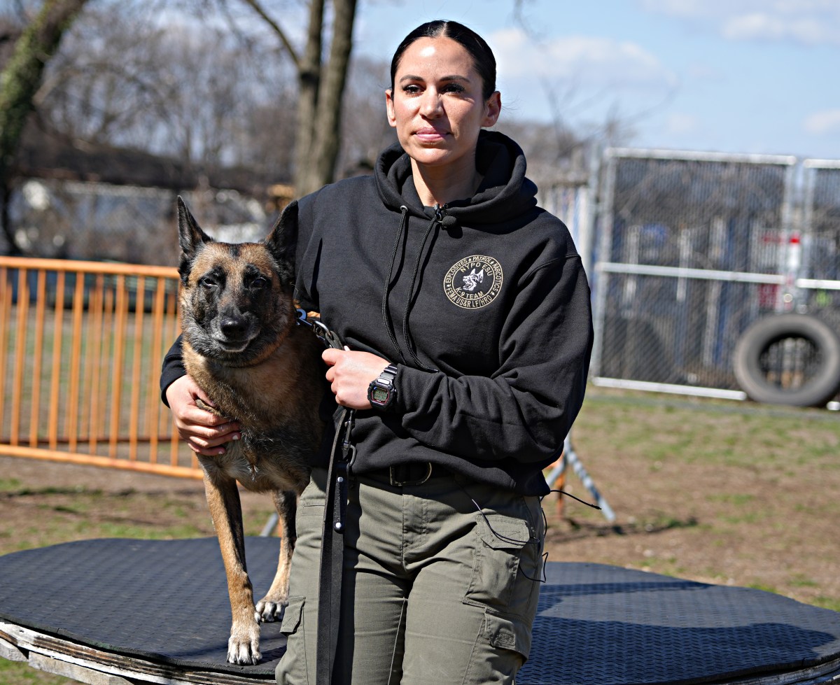 Women's History Month: Meet Christina Orlando, the NYPD's first ESU female K9 trainer 3