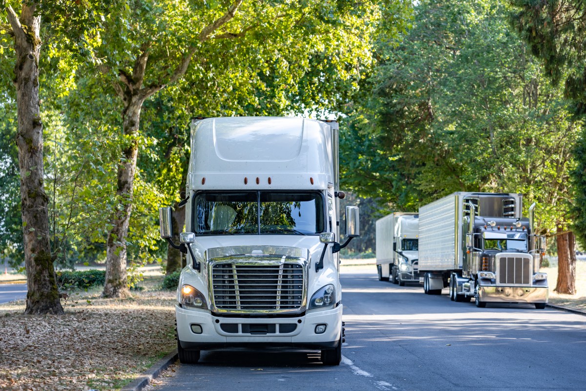 Line of trucks parked on tree-lined street