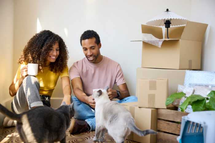 Smiling mid adult couple sitting with cats by stack of boxes. Man and woman are taking break from relocation. They are at new home.