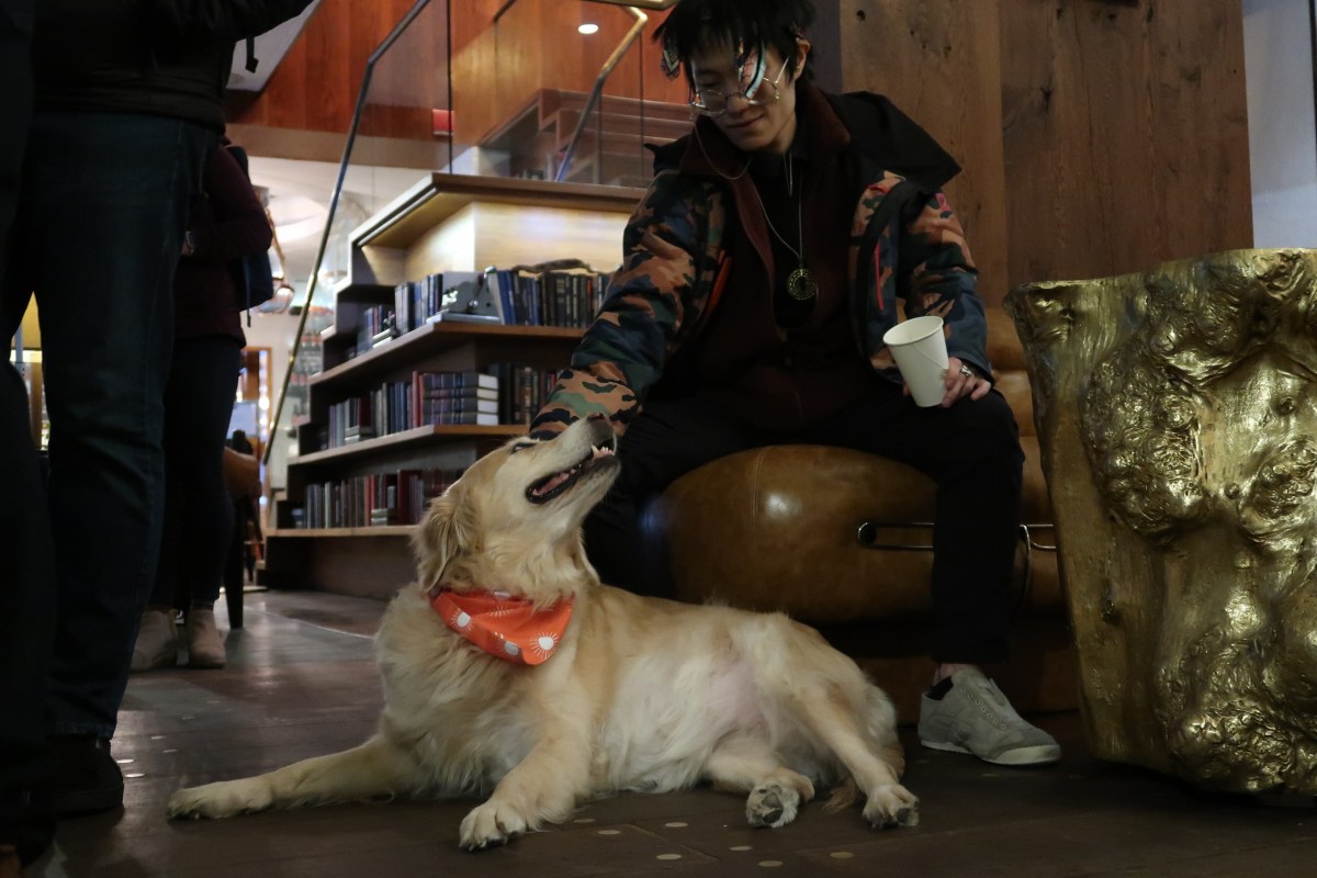 Financial District's Gild Hall Hotel welcomes guests with Maya, the 'canine concierge' 2 Maya and owner Simon Chan.
