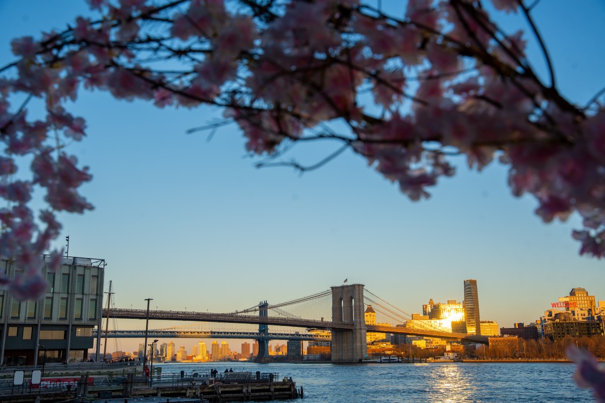 Spring Fling Cherry Blossom Festival blooms at Watermark in the Seaport 4 Enjoy the view of the Brooklyn Bridge!