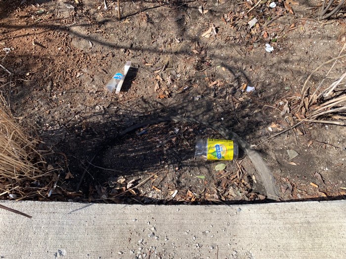 NYC’s curbside rain gardens: Are they eco-friendly or just poop-filled eyesores? 4 one many rain gardens in NYC that is filled with litter