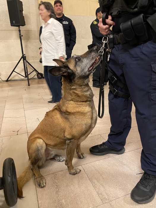 Ruff on the rails: MTA police celebrate K-9 graduation at Grand Central Terminal 2 MTA dog who is part of the K-9 unit