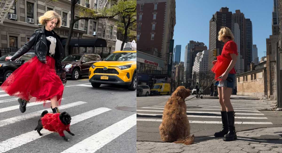 Pets and the City | What type of dog should you get in New York City? 4 Fern Watt in NYC with a pug (left) and a golden retriever