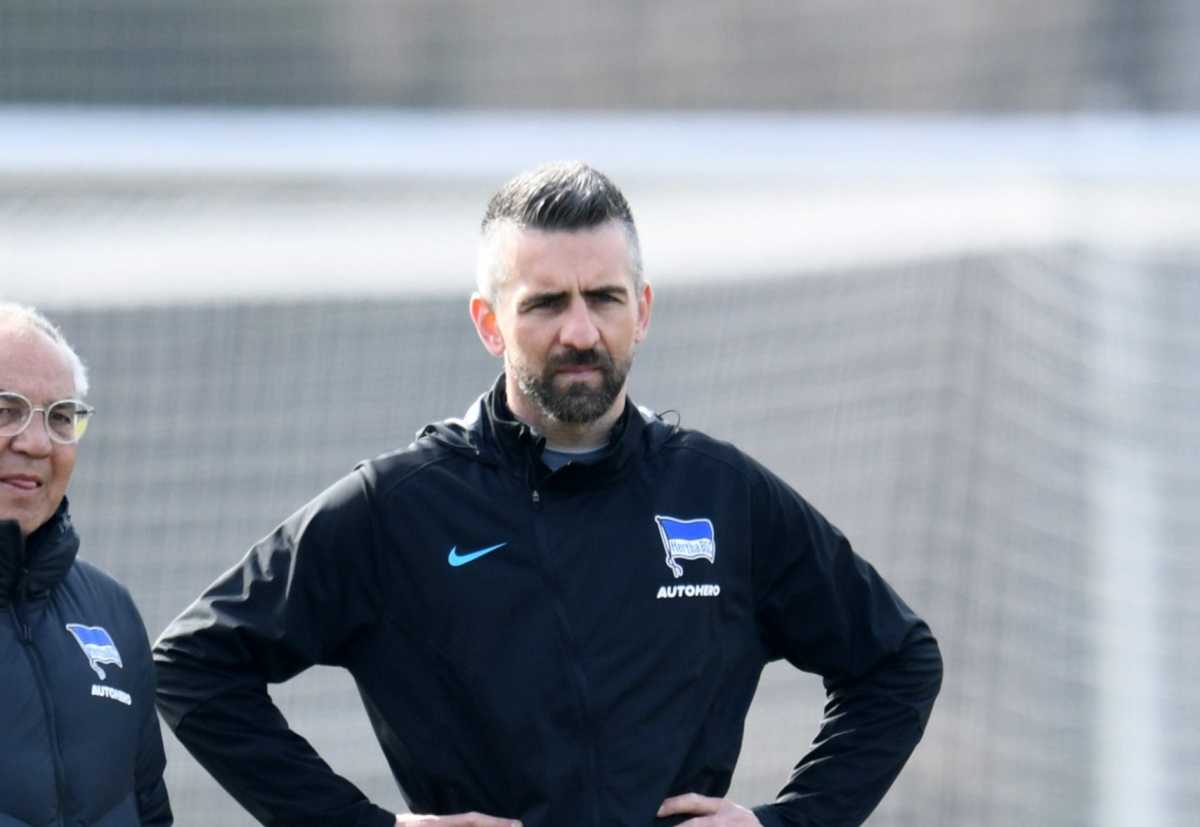 Vedad Ibisevic Red Bulls