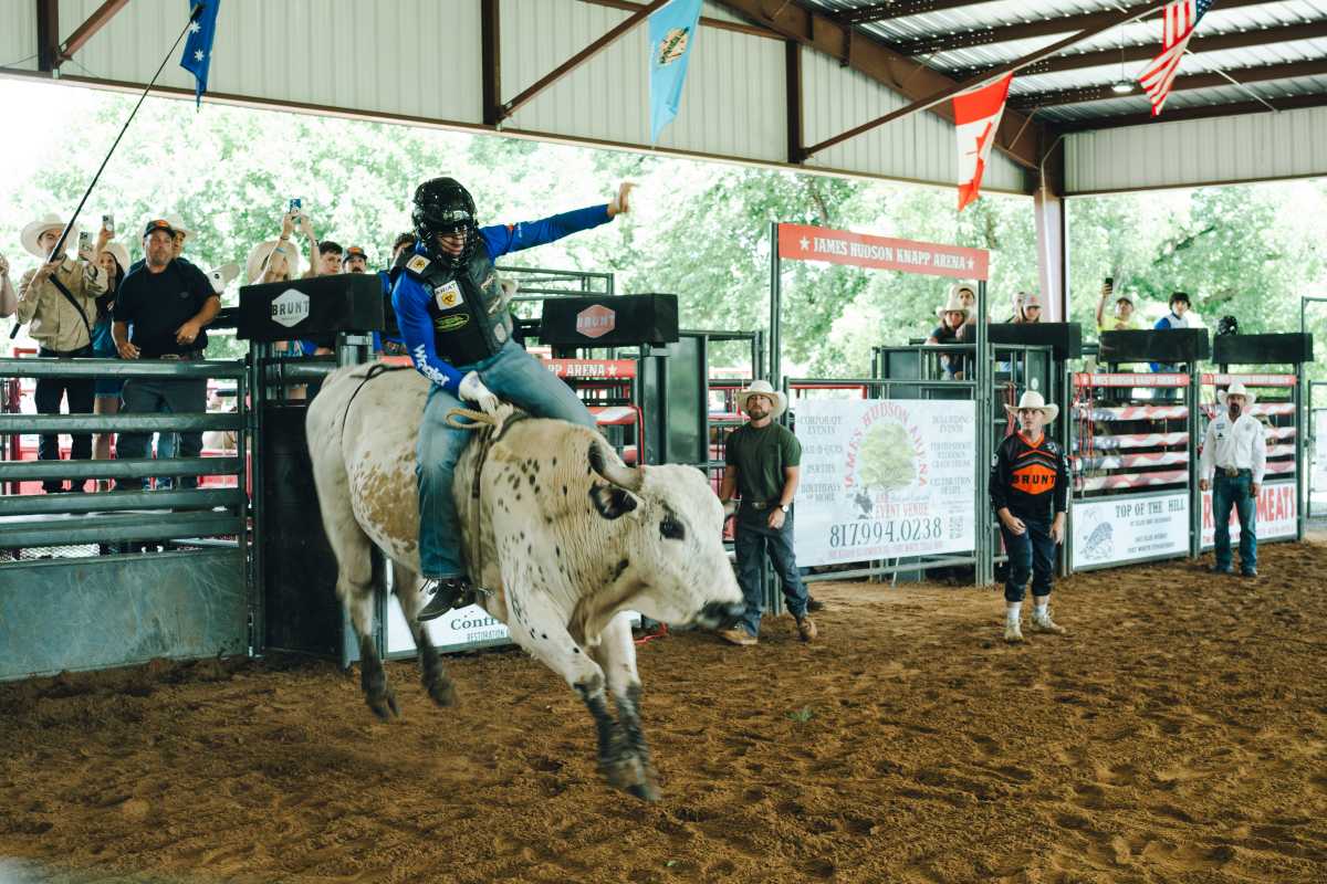 New York Mavericks gear up for a new season of professional bull riding at UBS Arena 8 a bull rider for the New York Mavericks rides a bull in a practice pen