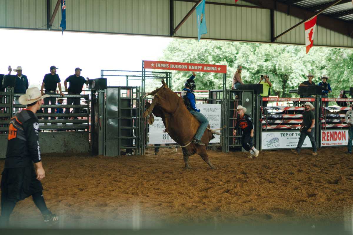 New York Mavericks gear up for a new season of professional bull riding at UBS Arena 7 a bull rider for the New York Mavericks rides a bull in a practice pen