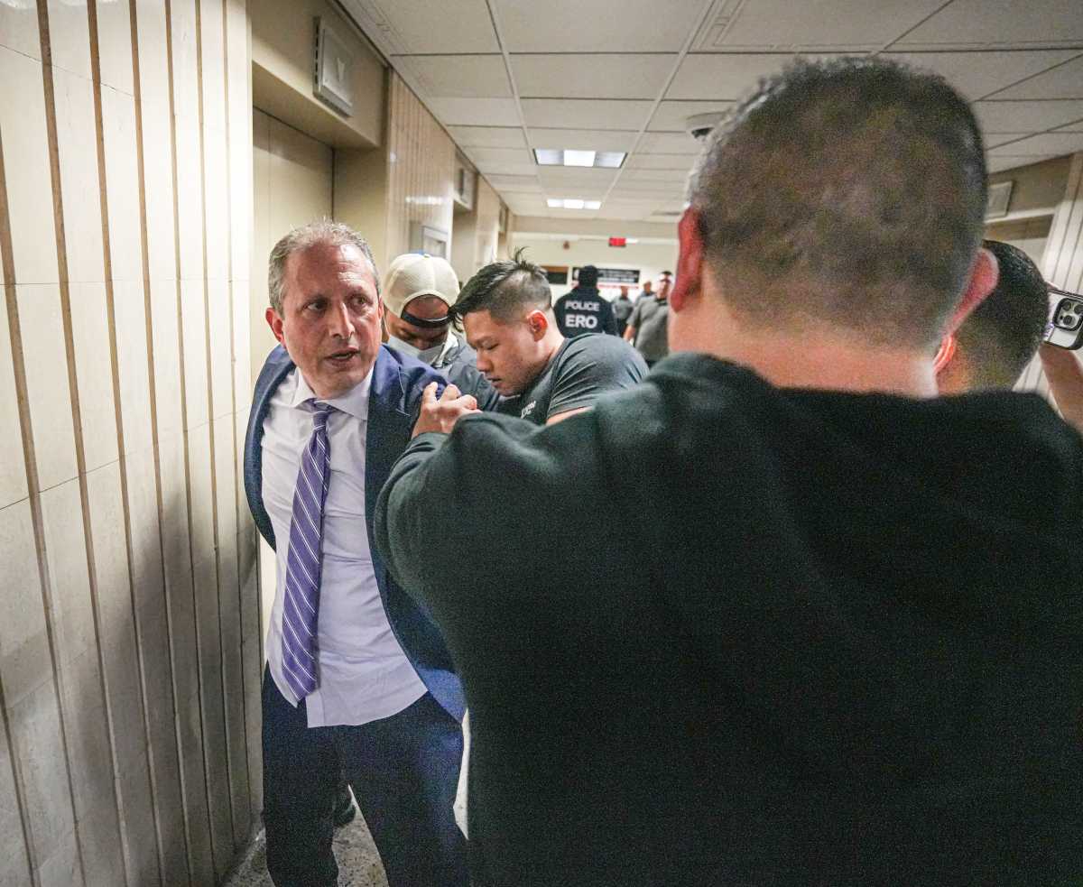 Brad lander arrested