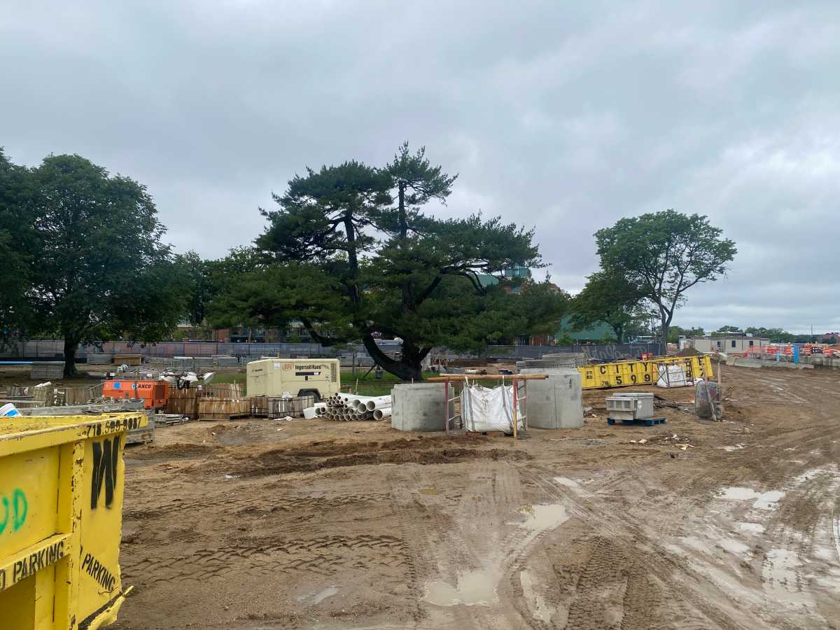 The new Belmont Park: Inside the ongoing $450 million reconstruction of the Belmont Stakes' once and future home 4 The historic Japanese white pine tree during construction at the new Belmont Park