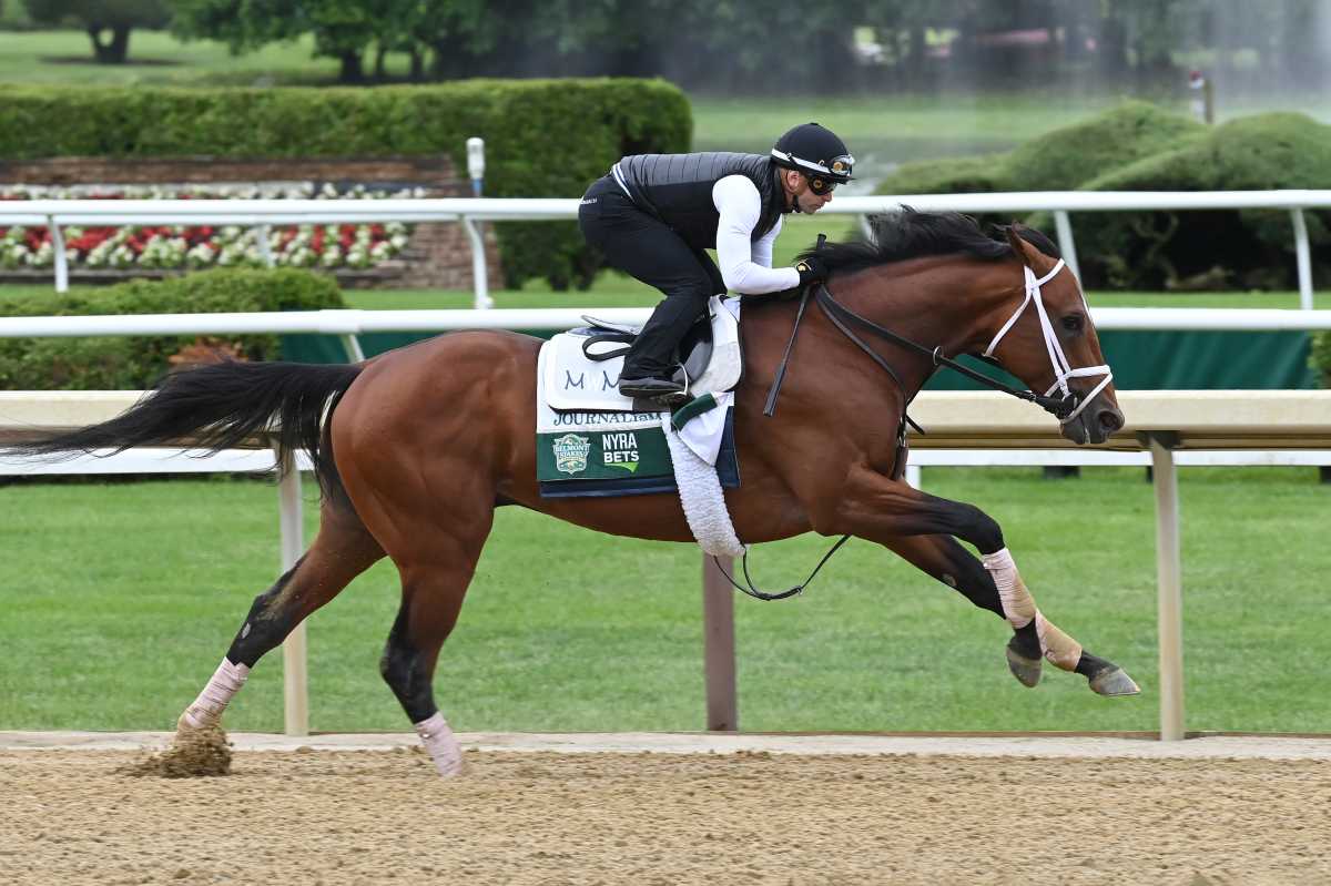 Preakness Stakes winner and Belmont Stakes favorite Journalism