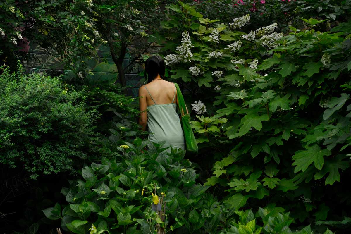 Sun, songs and snails: An East Village garden blooms with music and community joy 3