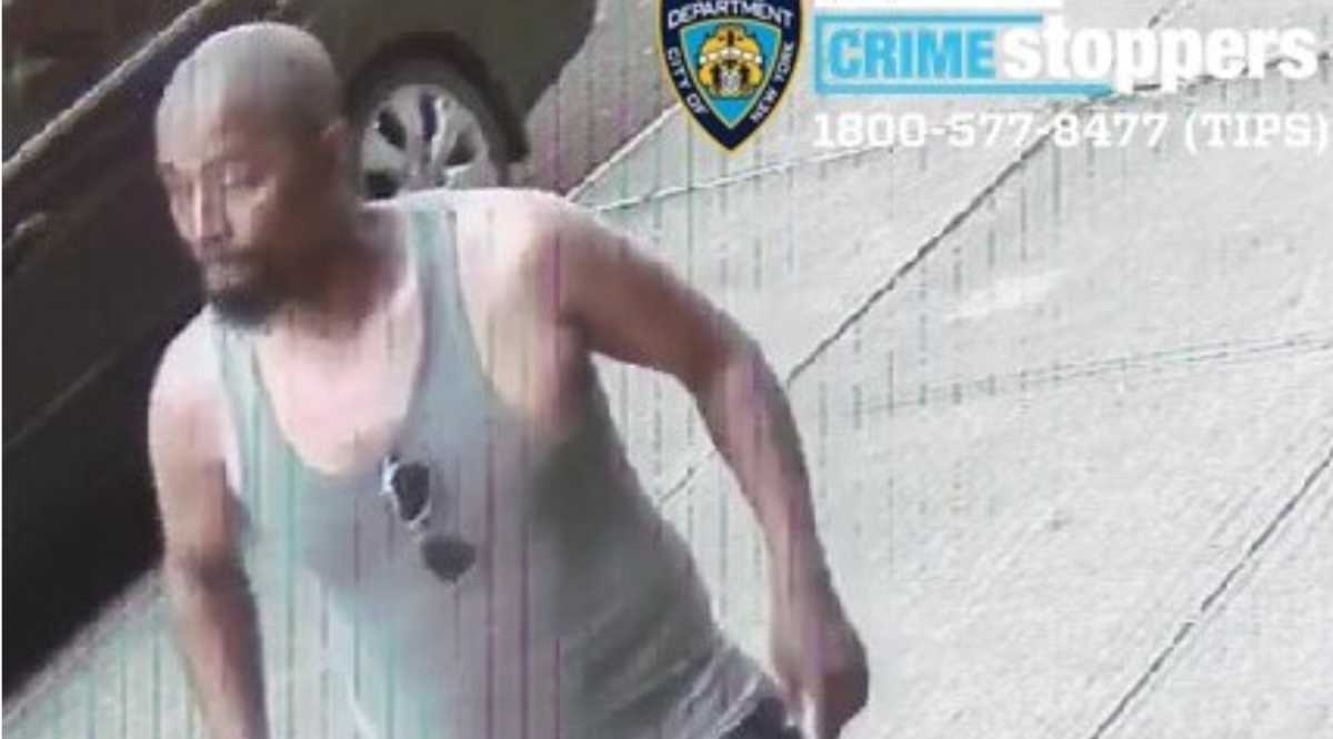 Surveillance footage shows the second alleged suspect in the July 8 stabbings in the Bronx. Police describe him as bald with a medium complexion and large build, last seen wearing a gray tank top and blue shorts.