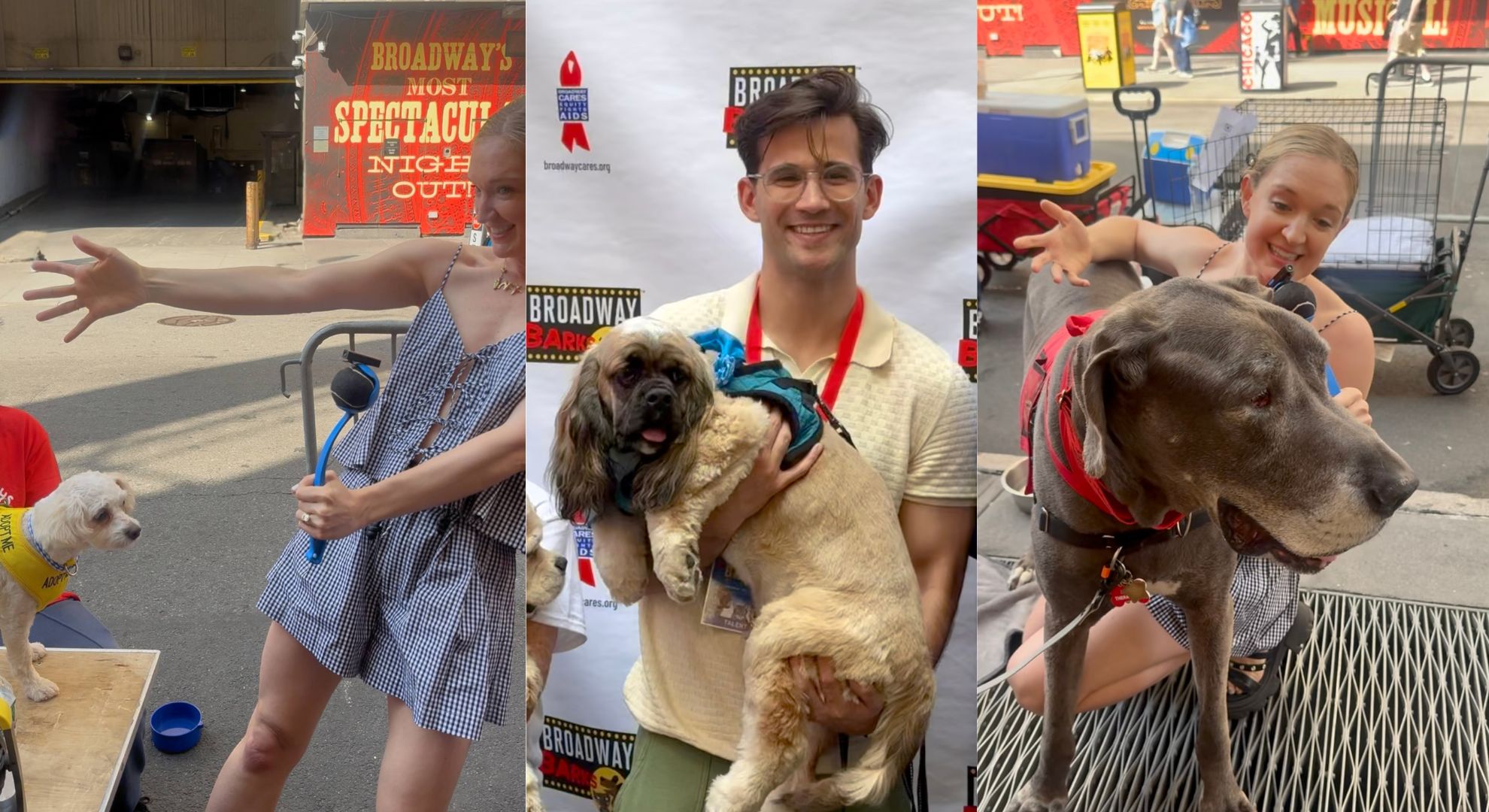 Pets and the City | Broadway stars help dogs and cats land forever homes 5