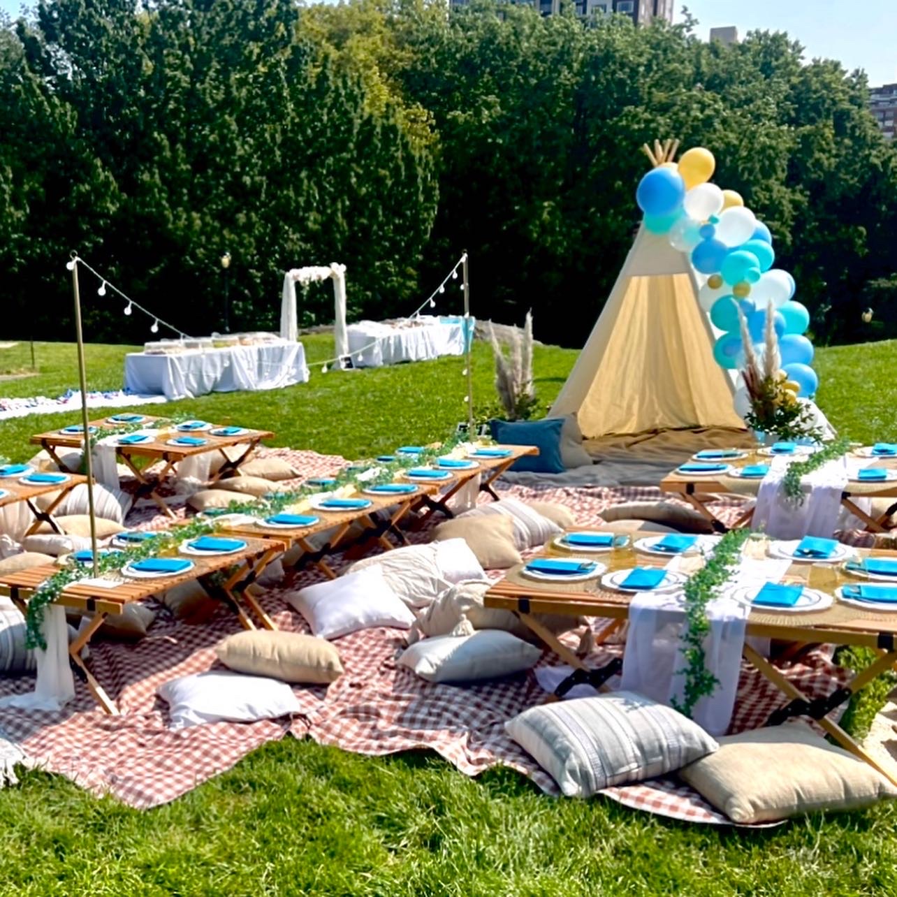 Professional picnics bring amenities to New York City parks 2