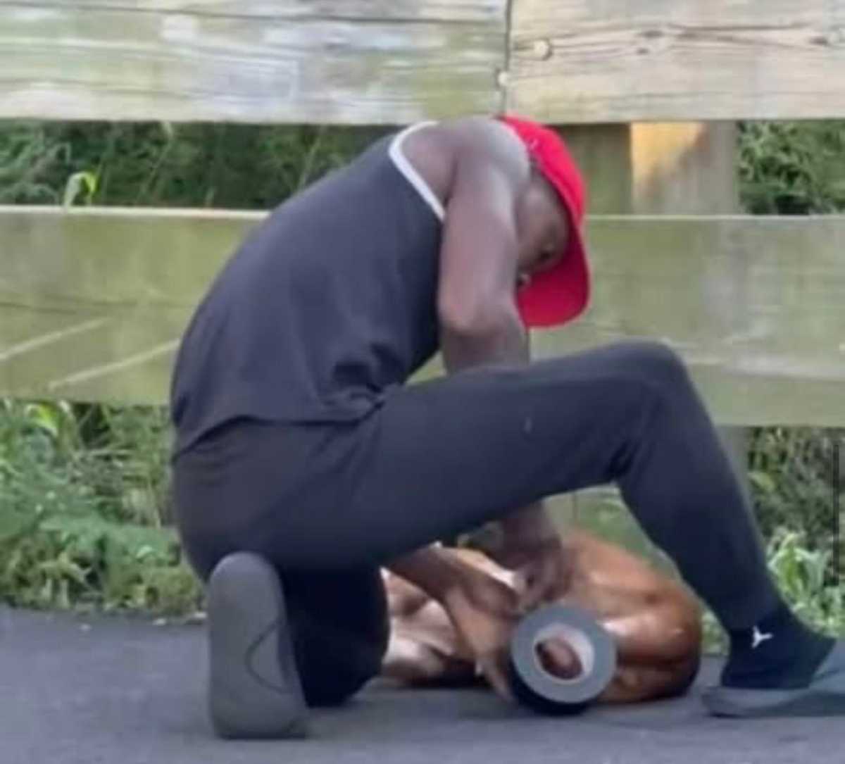 Suspected dog abuser taping canine in park